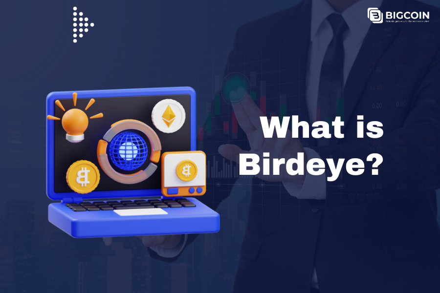 Your Friendly Guide to Birdeye Crypto: All You Need to Know!