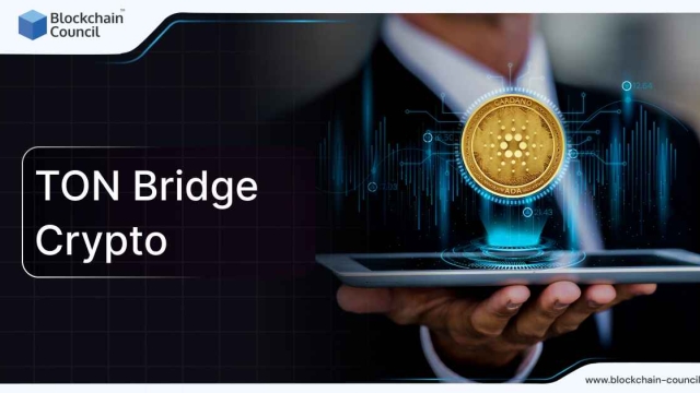 How to Navigate the Popular Ton Bridge Crypto: 2024 Insights and Tips